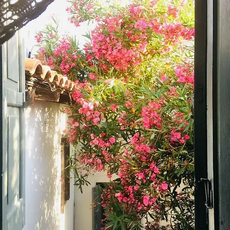 Fairytale Σπίτι διακοπών *